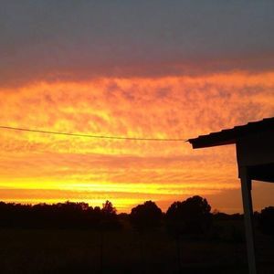 Meet your Posher, Bridgette